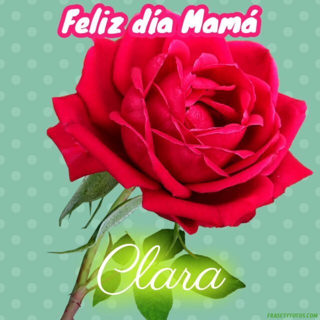 50 Feliz dia Mama con Nombres Rosa roja bonita para dedicar a tu Madre 8
