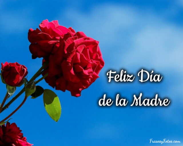 50+ Rosas bonitas de Feliz Día de la Madre, imágenes brillantes