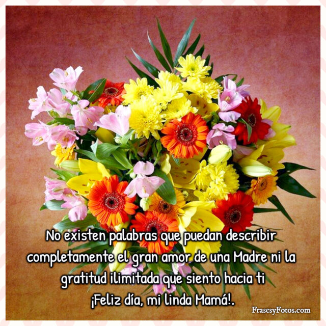 Dia de la Madre 14 imagenes de flores 100 Frases bonitas 12