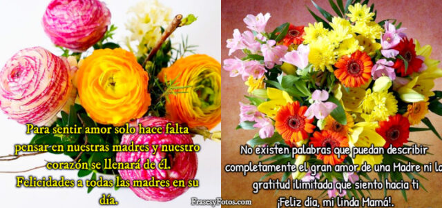 Dia de la Madre 14 imagenes de flores 100 Frases bonitas