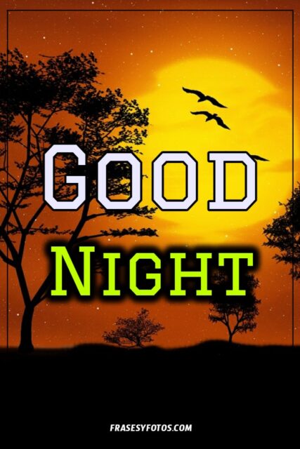 Good Night Phrases 25 images free hermosas fotos con mensajes para facebook pinterest 14