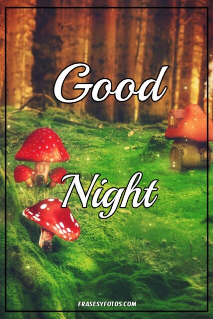Good Night Phrases 25 images free hermosas fotos con mensajes para facebook pinterest 16