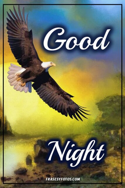 Good Night Phrases 25 images free hermosas fotos con mensajes para facebook pinterest 17
