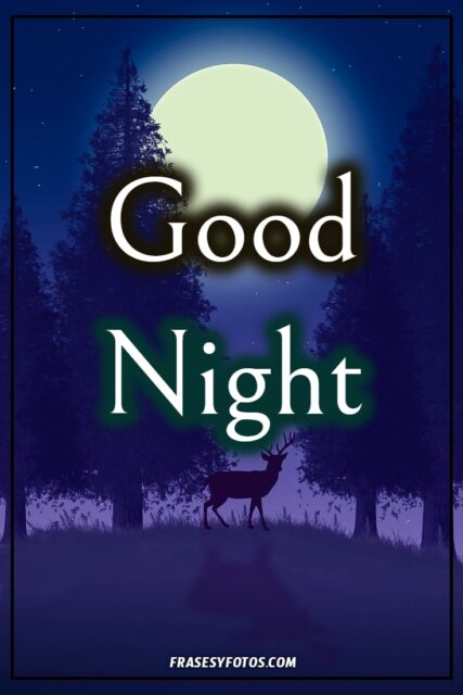 Good Night Phrases 25 images free hermosas fotos con mensajes para facebook pinterest 20