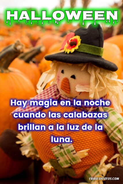 Halloween 25 imagenes disfraces boo magia dulces calabazas fiesta 31 octubre Frases 14