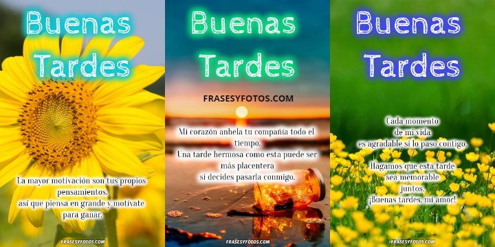 Inspiradores mensajes de buenas tardes 13 imagenes con Frases bonitas flores coloridas