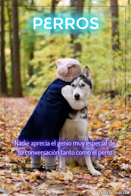 Mascotas bonitas 18 imagenes de Perros con mensajes para compartir 2
