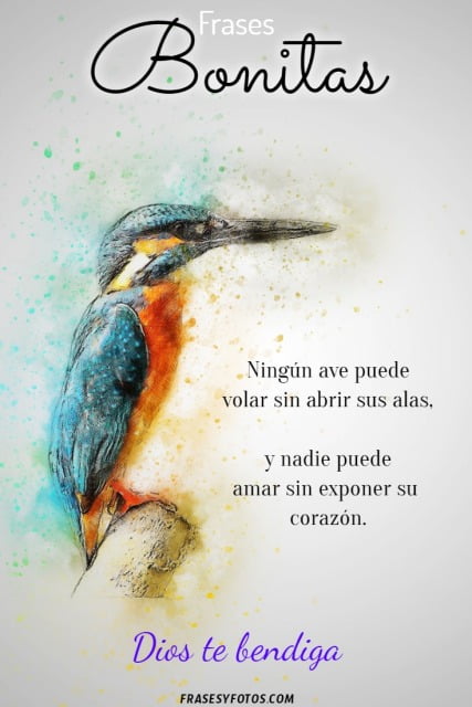 Frases bonitas con ave y nadie puede amar sin exponer su corazón.