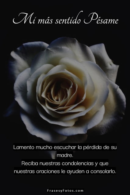 Rosa blanca con fondo negro de luto, fallecimiento, condolencias, perdida de su madre.