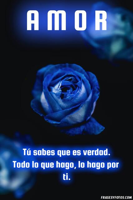 AMOR, bonitas rosas azules con frases para dedicar.