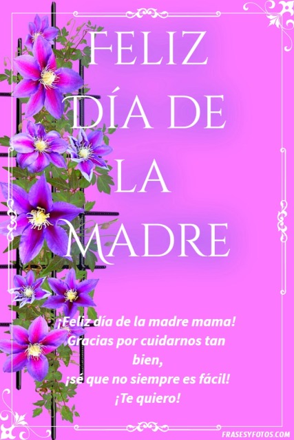 Bonitas imágenes de feliz día de la madre con frases para compartir. Gracias por cuidarnos. Flores bonitas, orquídeas.