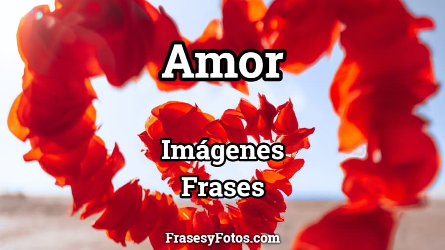 Imágenes de Amor con Frases | 25+ Fotos, Corazones, Rosas