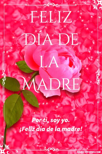 Rosas bonitas de feliz día de la madre, por ti, soy yo. Gracias por todo tu amor.