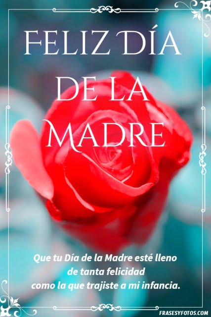 Mensajes hermosos de Feliz día de la Madre, rosa bonita con cuadro y mensajes de felicidad.