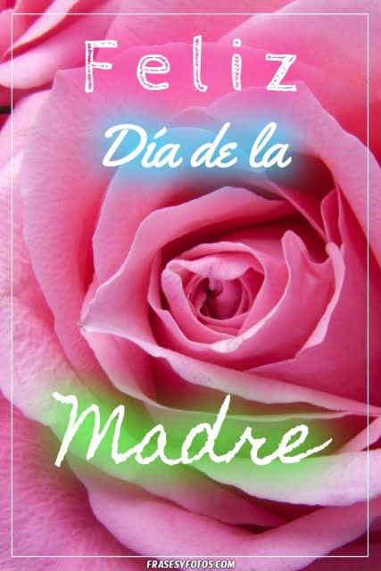 Felicidades Madre en este día tan especial, mensajes bonitos con rosa rosada para dedicar.
