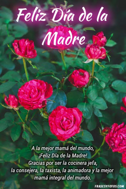 Feliz día de la madre con mensajes lindos positivos, rosas rojas para mi mamá.