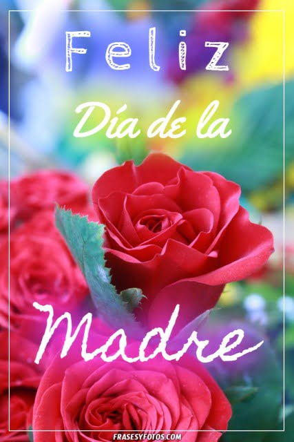 Mensajes bonitos con saludos de Feliz día de la Madre, rosas lindas para dedicar.