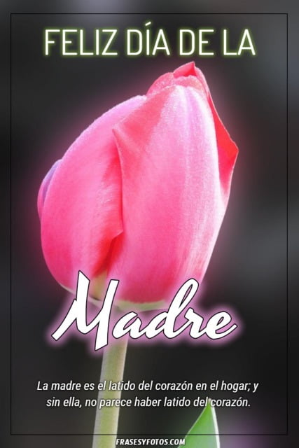 Tulipán con saludos de Feliz día de la Madre. Latidos del corazón.