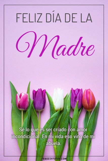 Feliz día de la madre con bonitos tulipanes, flores para compartir con mi mamá.