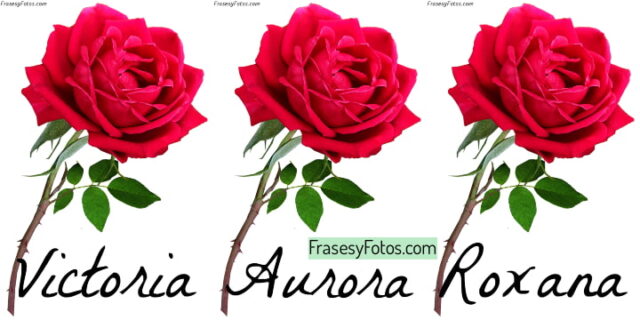 68+ Nombres de Mujeres +ROSA roja para compartir en Facebook