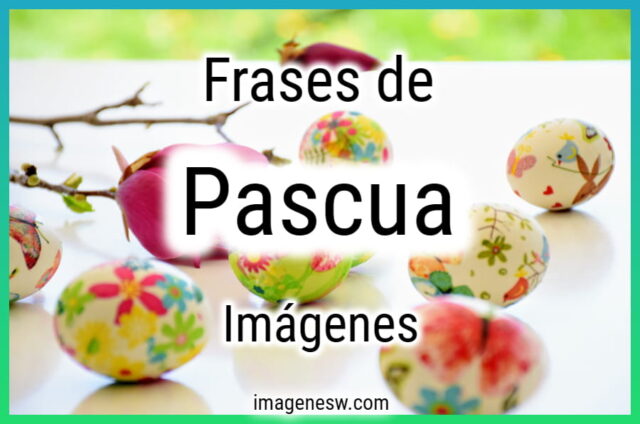 Feliz Pascua Frases, Imágenes | Huevos Coloridos