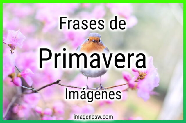 Frases de Primavera, Imágenes | Flores y Campos